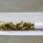 marijuana buds on cigarette paper