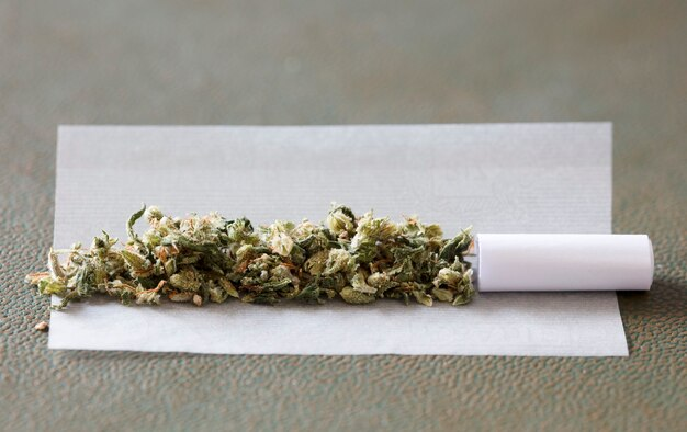 marijuana buds on cigarette paper