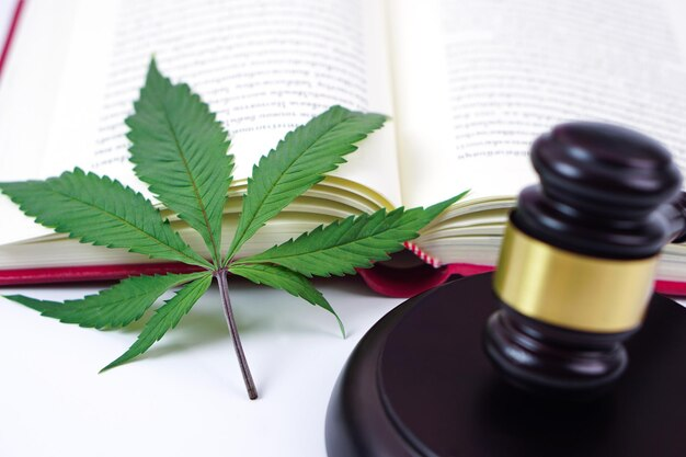 Book, gavel, and marijuan leaf