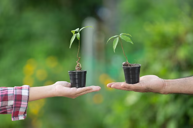 Two hands holding plant pots