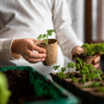 Woman with tiny plant containers