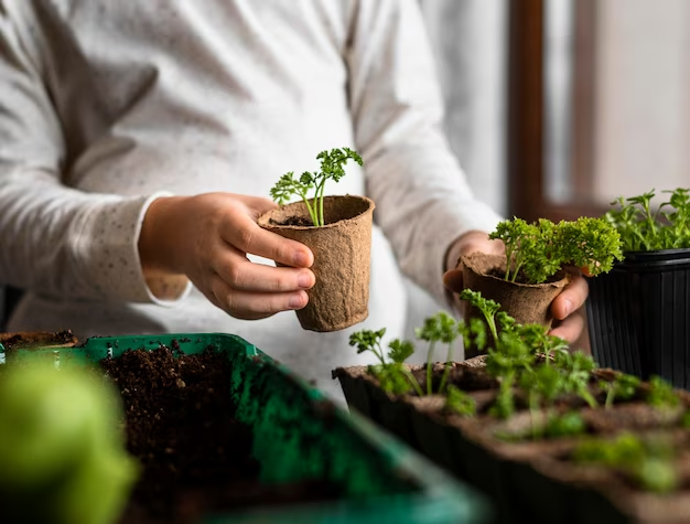 Woman with tiny plant containers